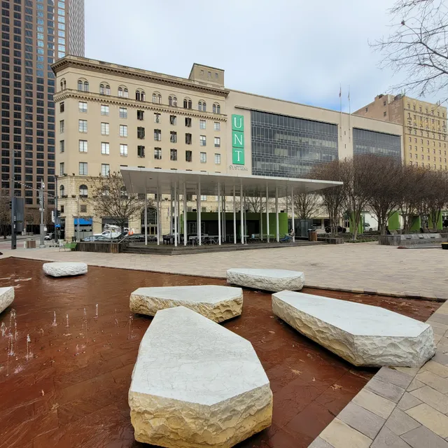 University of North Texas System