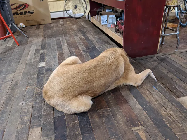 Town of West Bloomfield