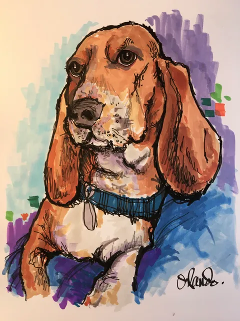 Marianne Orlando Illustrations