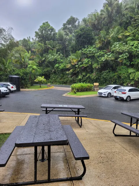 El Yunque Rainforest Cafe
