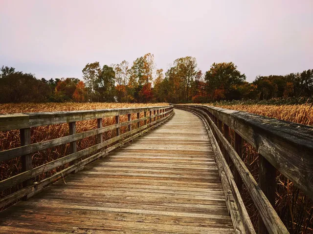 Lake To Lake Trail; Pre-historic Playpit