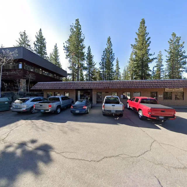 Sight & Sound Technologies