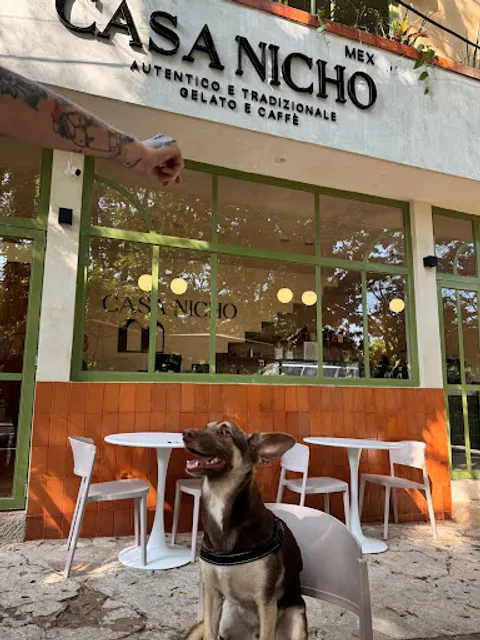 Casa Nicho Heladería y Cafetería