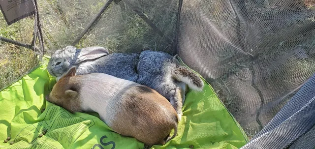 Dawning Point Point Learning Center