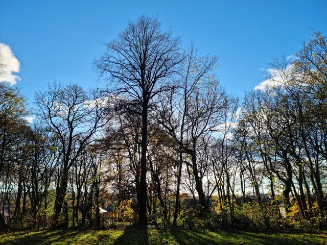 Griffin Park in Great Britain, United Kingdom - reviews,open hours ...
