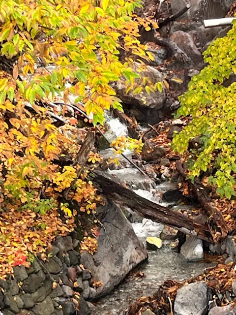 レストラン フレスガッセ