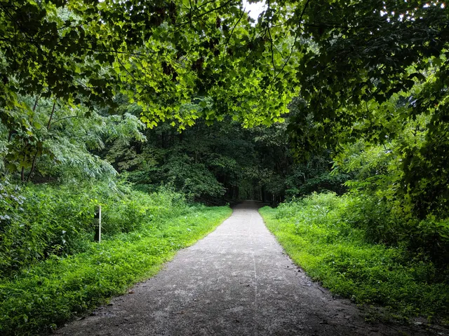 Montour Trail Access