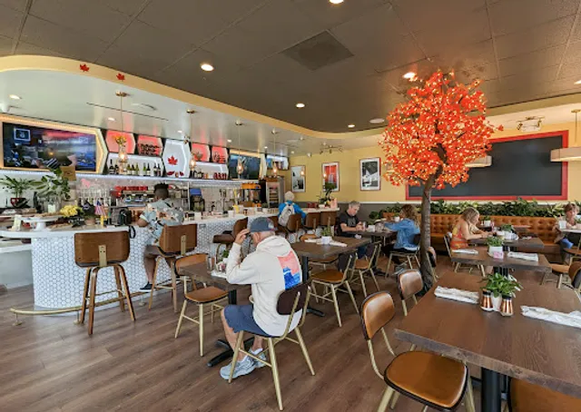 Red Maple Toluca Lake