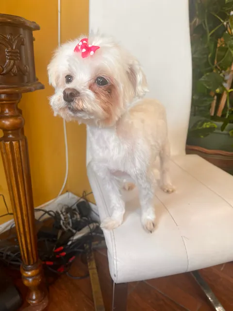 Your Pet’s Paradise