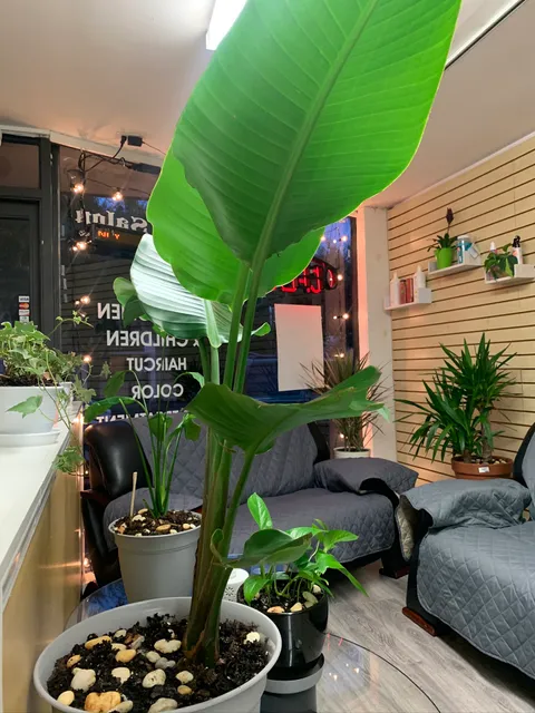 Mabuhay Kamil Salon LLC