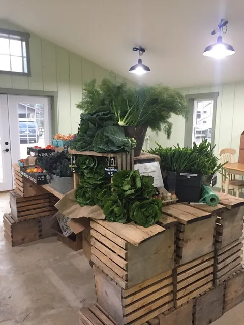 Wild Coyote Organic Farm