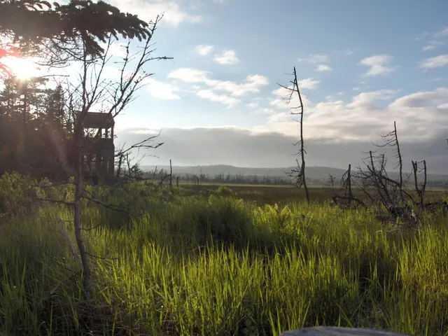 Castalia Marsh Retreat