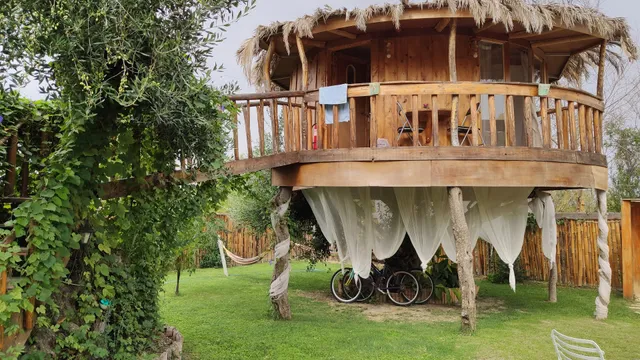 Elmar Tree House
