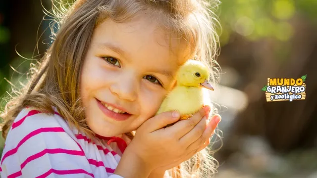 World Farmer and Zoo