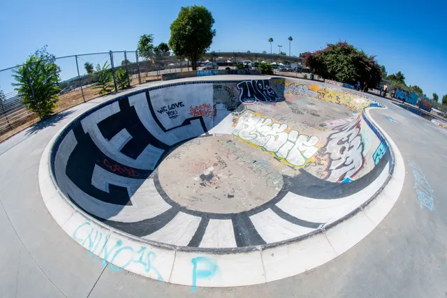 Pedlow Field Skate Park