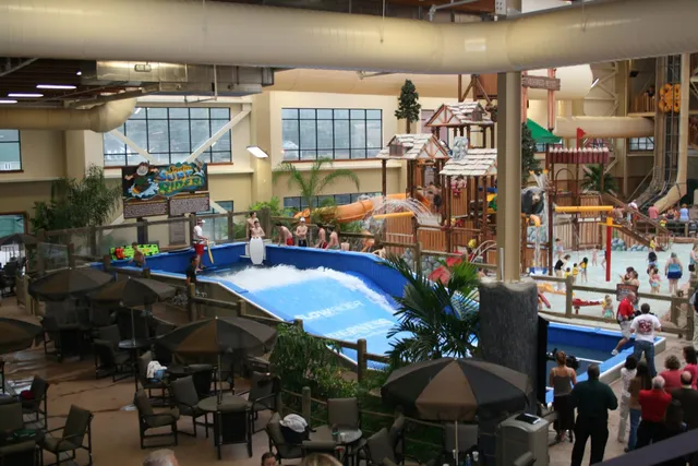 Wilderness Adventure Forest