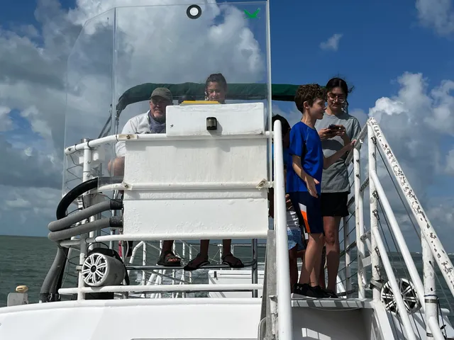 Rockport Birding And Kayak Adventures