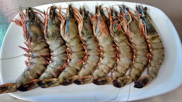 Agriturismo La Criniera