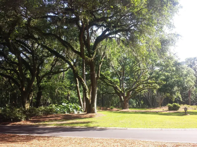 Plantation Club Villas, Regime 20