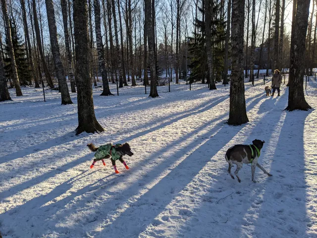 Munkinpuiston koirapuisto