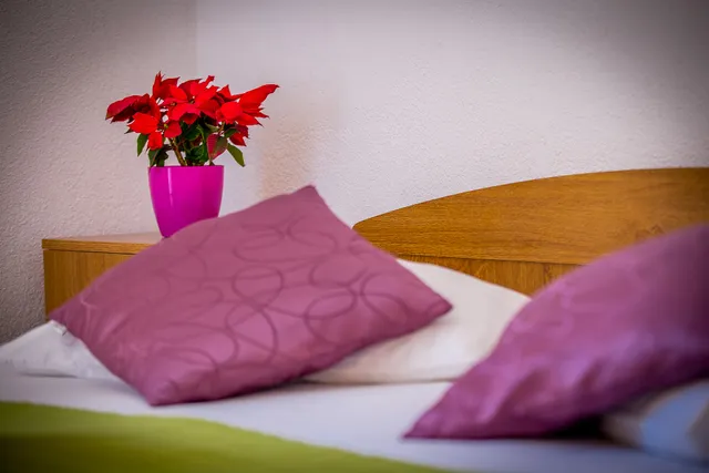 Apartments Maria Duće