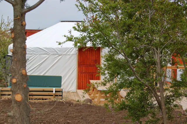 קמפ-יורט שילוב של טבע ונוחות