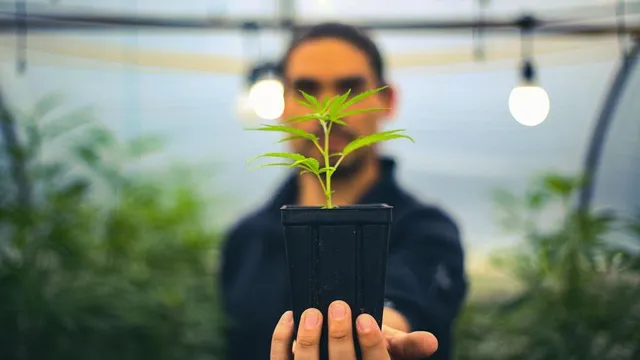 THE Dispensary - Fond Du Lac