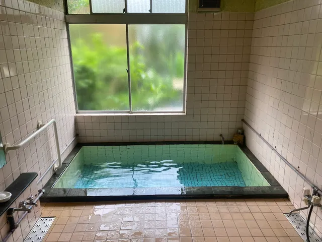 Odawara Hot Spring Hatsuri