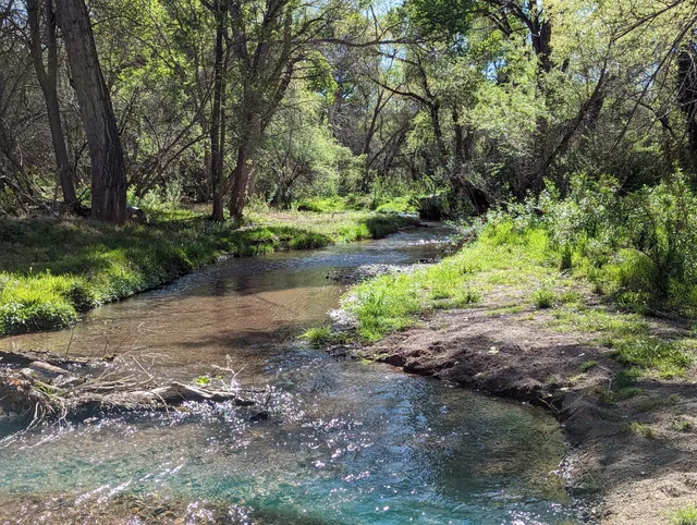Sonoita Creek State Natural Area