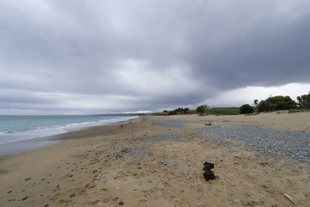 Kakanui Beach Reserve