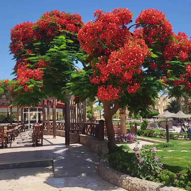 Blend Elphistone Resort