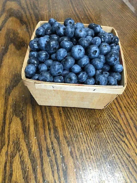 Schmitkons Fruit Farm