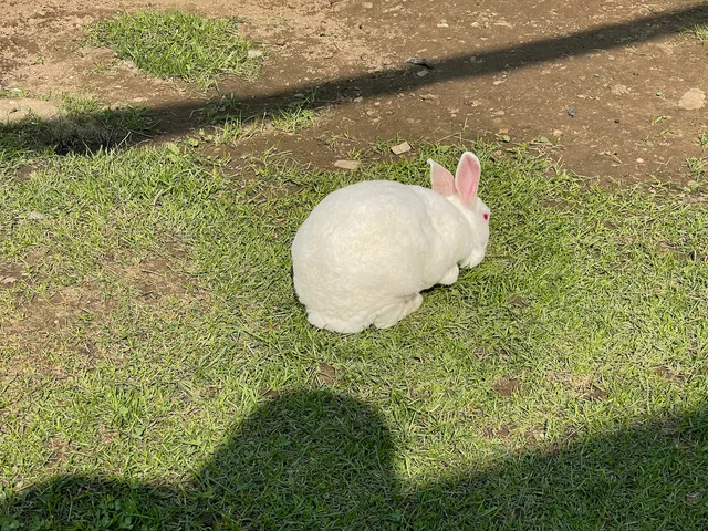 Don-O-Ray Farm Adventure