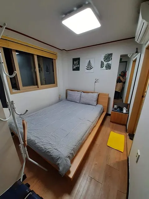 Namsan Forest City Seoul