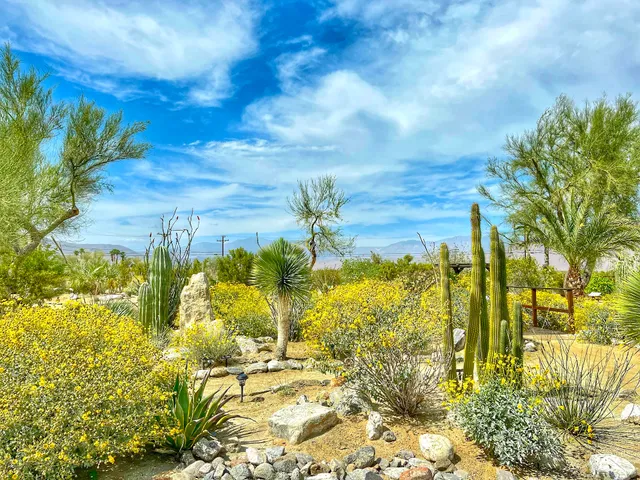 ABDNHA Desert Garden