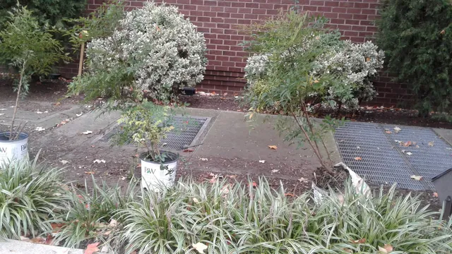 Unity of Washington DC⛪