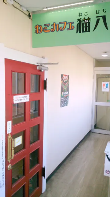 Neko cafe Nekohachi