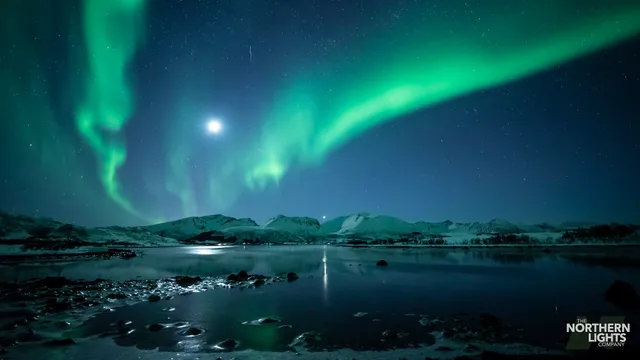 The Northern Lights Company