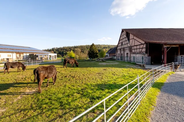 Kinderparadies Hohenloher Hof Ulrich & Ulrike Krämer GbR