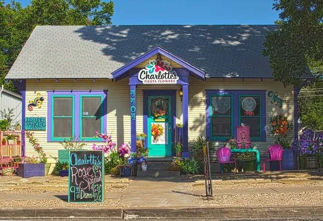 Charlotte's Fiesta Flowers of Austin