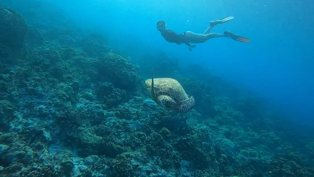 Guam Ocean Adventures