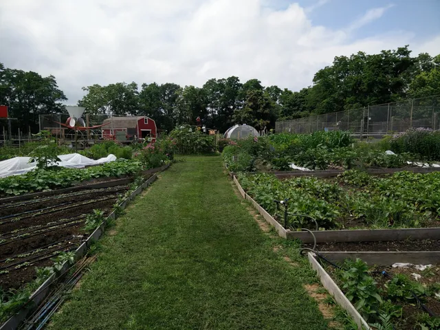 Grow It Green's Urban Farm