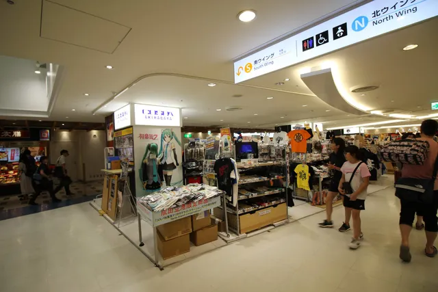 Cospa Akihabara NRT Satellite Station