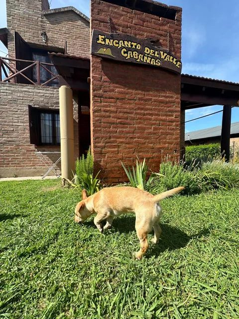 Cabañas Encantos del Valle