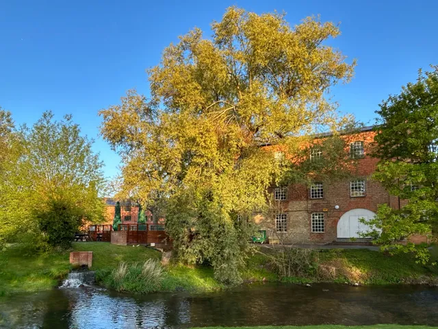 The University of Buckingham