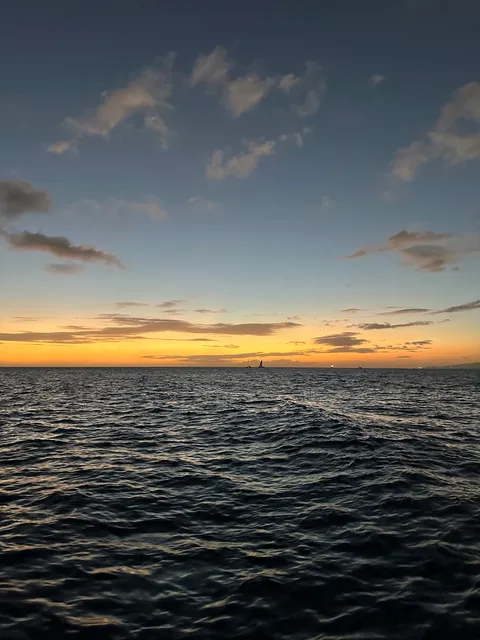 Moana Sailing Company