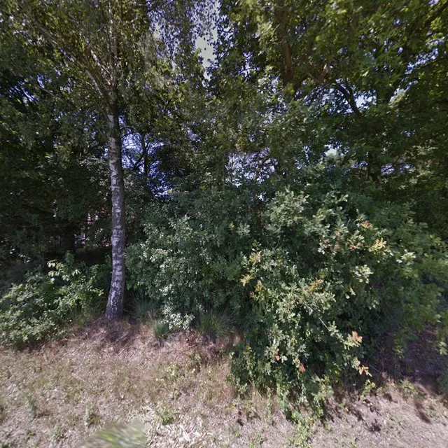 Restaurant "Hooge Graven"