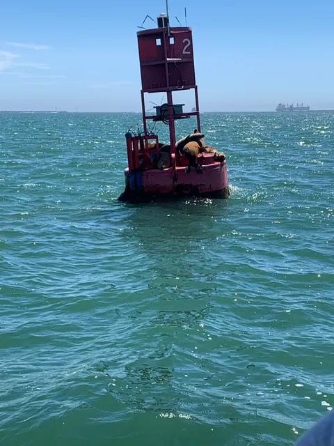 Memorials At Sea Los Angeles