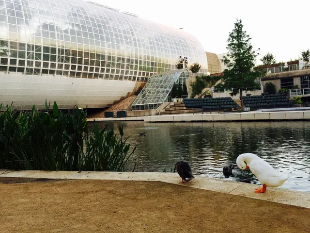 Oklahoma Shakespeare