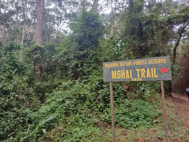 Magamba Nature Forest Reserve Office